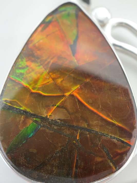 Ammolite Fossil Silver Pendant