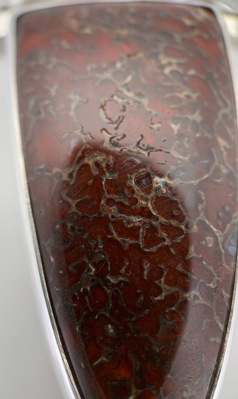 Pietersite / Dinosaur Bone and Garnet Silver Pendant