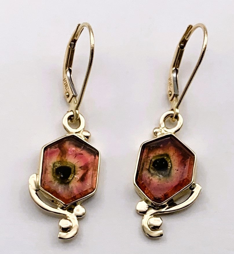 Watermelon Tourmaline Gold Earrings