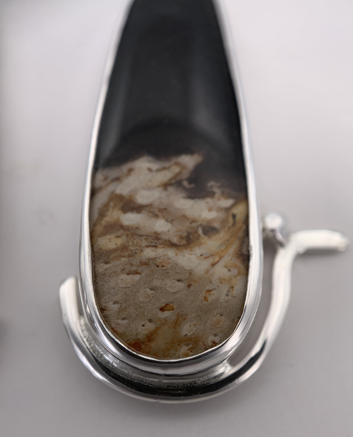 Fossil Palm Wood Silver Earrings