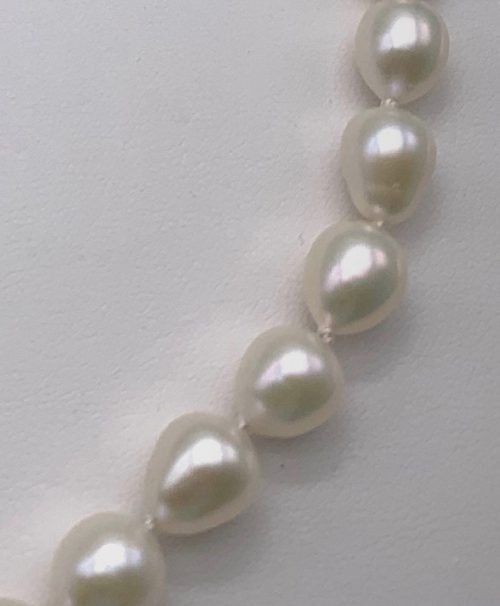 White Fresh Water Pearls