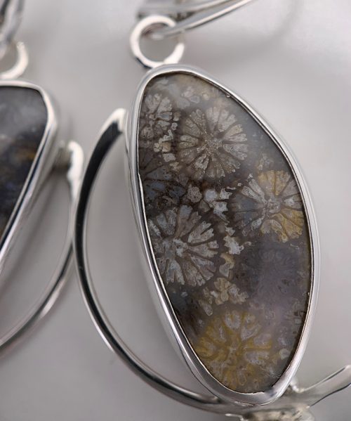 Fossil Coral and Chrysaberyl Silver Earrings